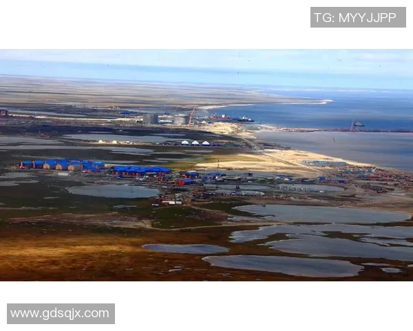 亚马尔地区的资源开发与国际合作新机遇分析