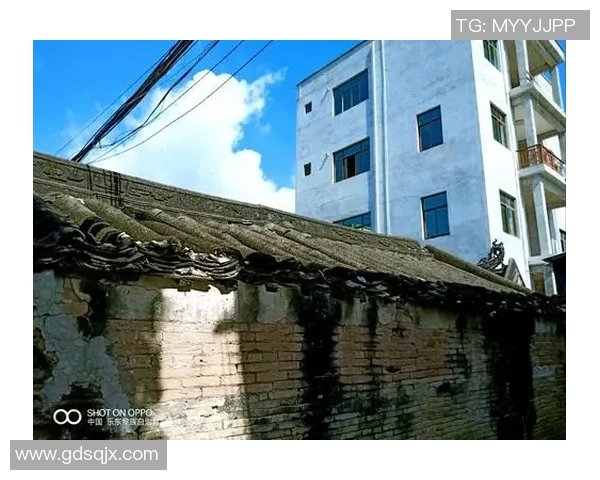 马力克的传奇旅程与时代变迁中的奋斗精神探讨